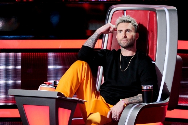 Наставник в шоу «The Voice»
