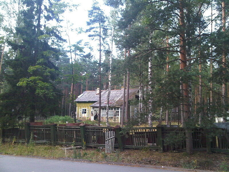 Дача Линник в Комарово